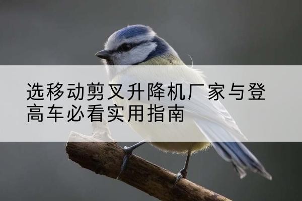 仁和电动升降机厂家-选移动剪叉升降机厂家与登高车必看实用指南