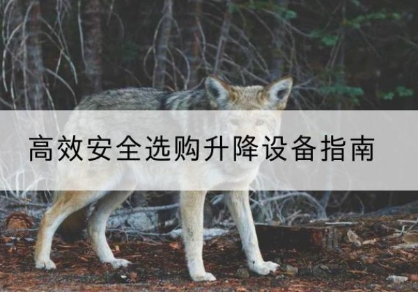仁和升降货梯厂家推荐-*安全选购升降设备指南